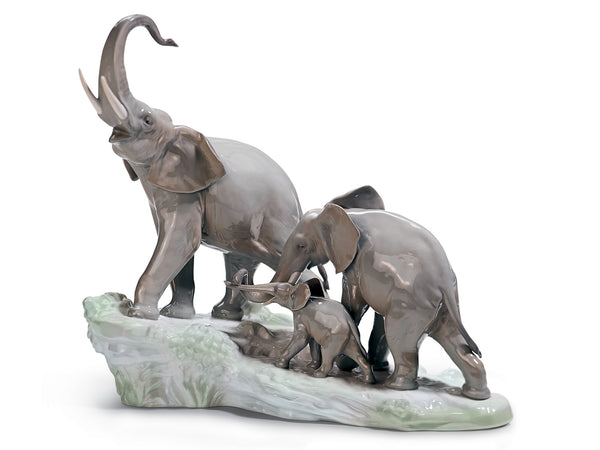 Elephants Walking