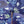 Load image into Gallery viewer, Blue Starfish Umbrella
