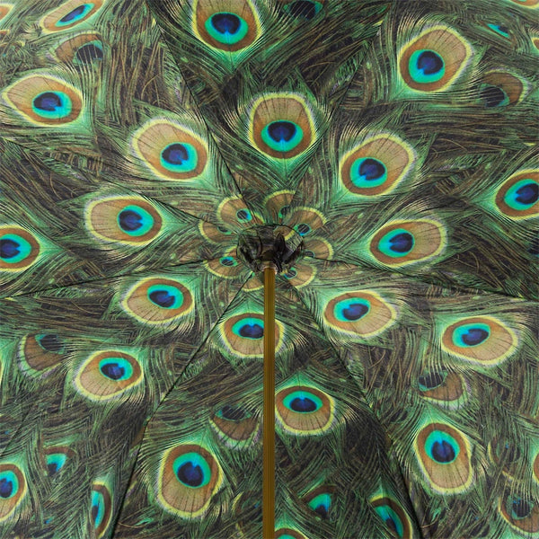 Peacock Umbrella