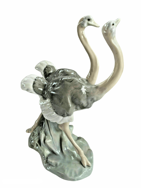 Ostrich