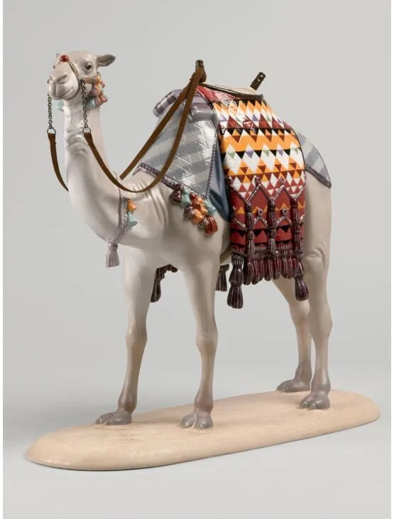 Camel Limited Edition