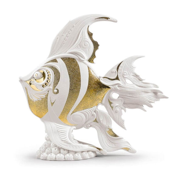 Angelfish