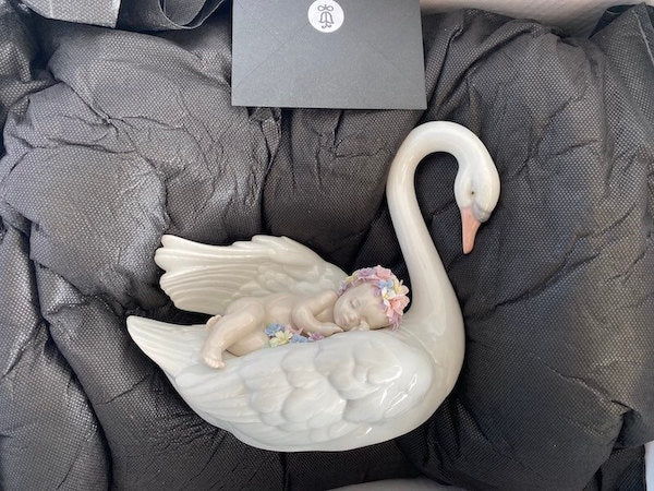 Drifting Through Dreamland