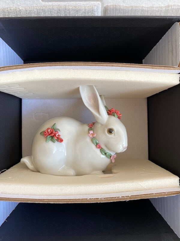 Attentive Bunny