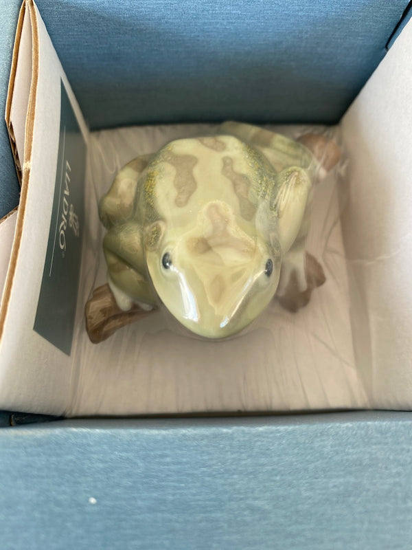 Lucky frog