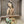 Load image into Gallery viewer, In a Tropical Garden
