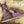 Load image into Gallery viewer, Disney Bambi
