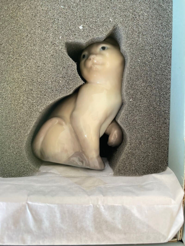 Lucky Cat