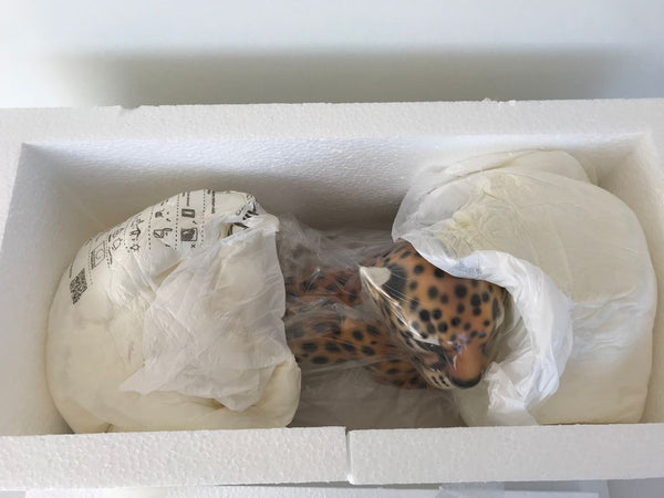 Cheetah Lying