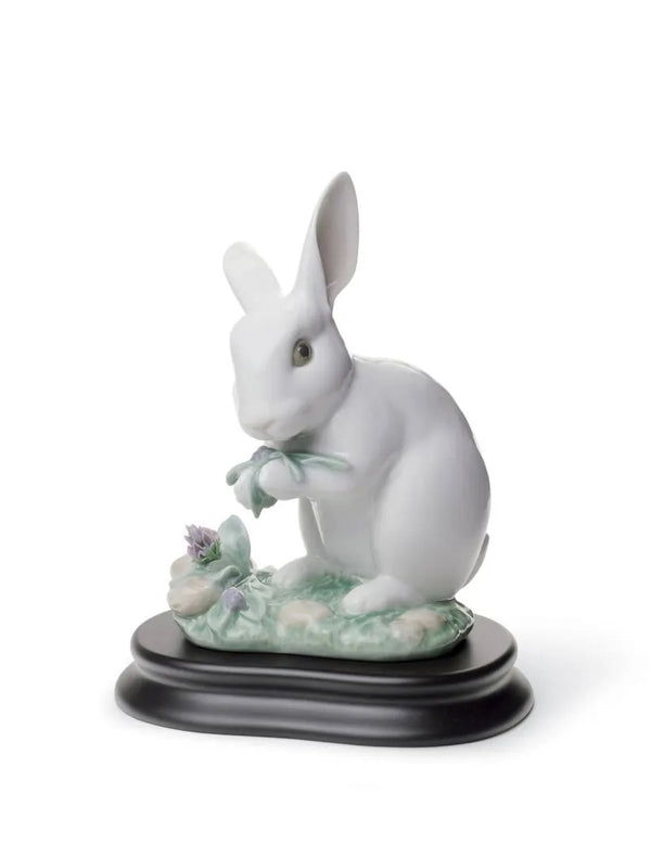 The Rabbit