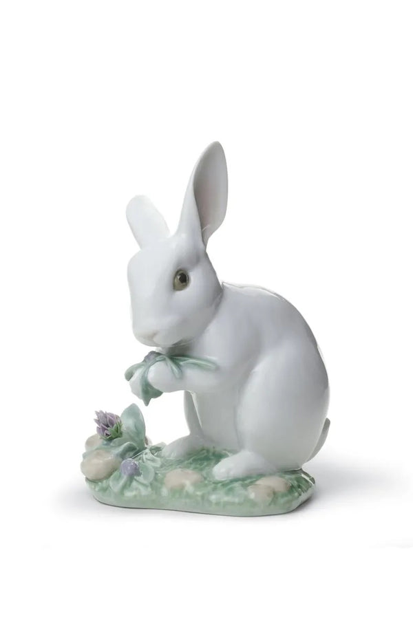 The Rabbit