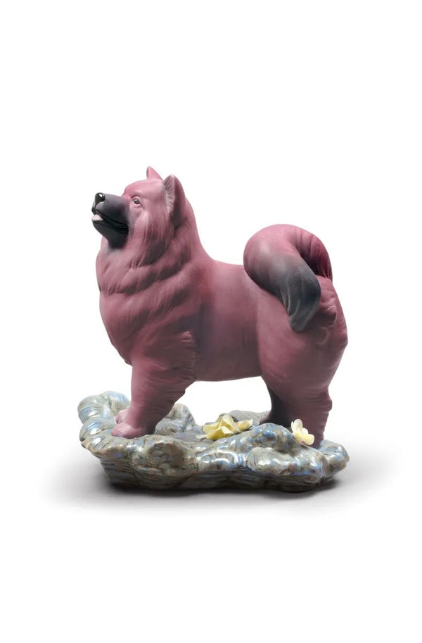 The Dog Limited Edition