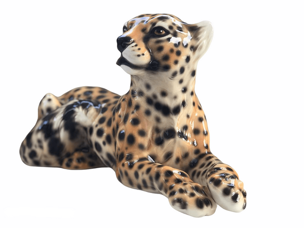Cheetah Lying