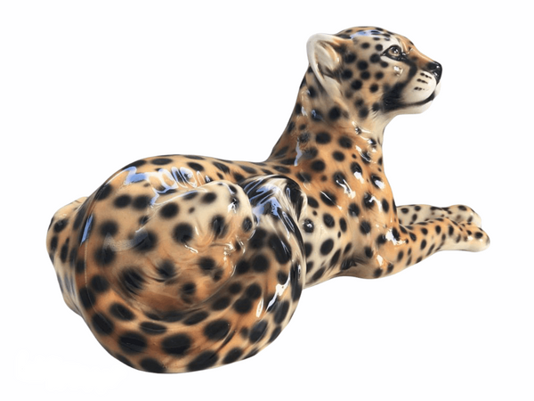 Cheetah Lying