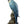 Load image into Gallery viewer, Macaw Bird
