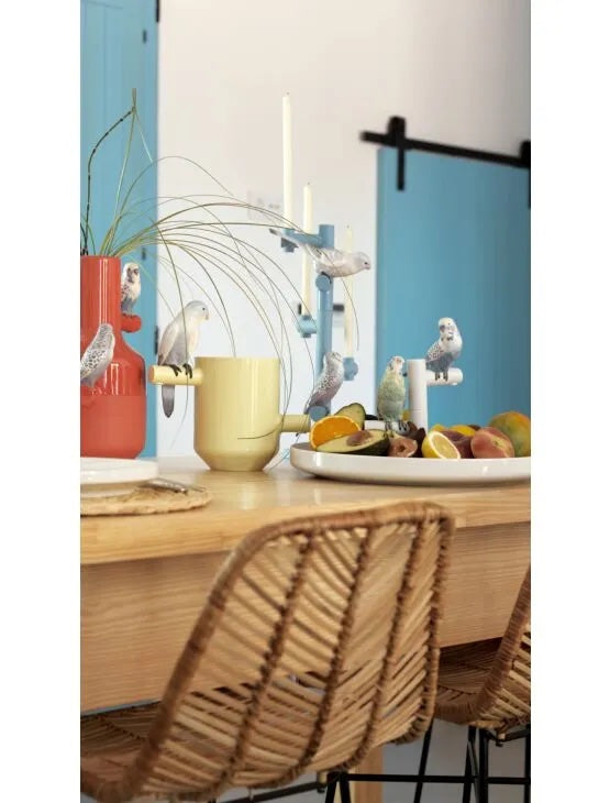 Parrot Romance Plate