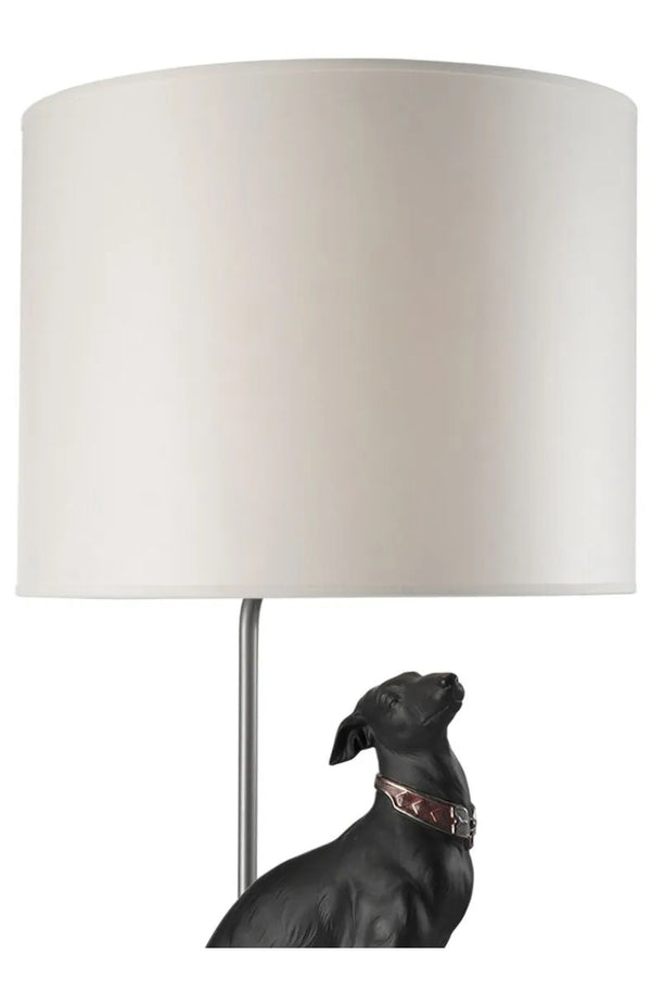 Attentive Greyhound