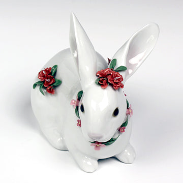Attentive Bunny
