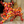 Load image into Gallery viewer, Bull Mosaic Red
