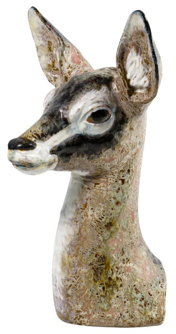 Fawn Head