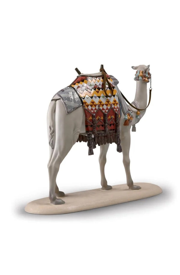 Camel Limited Edition