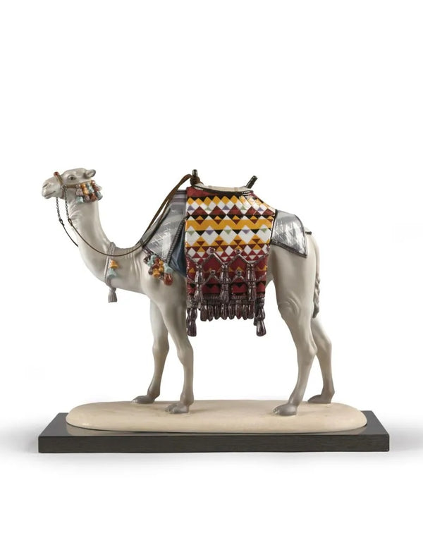 Camel Limited Edition