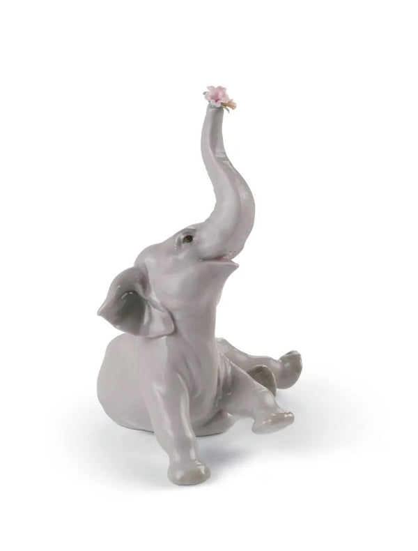 Baby Elephant with Pink Flower