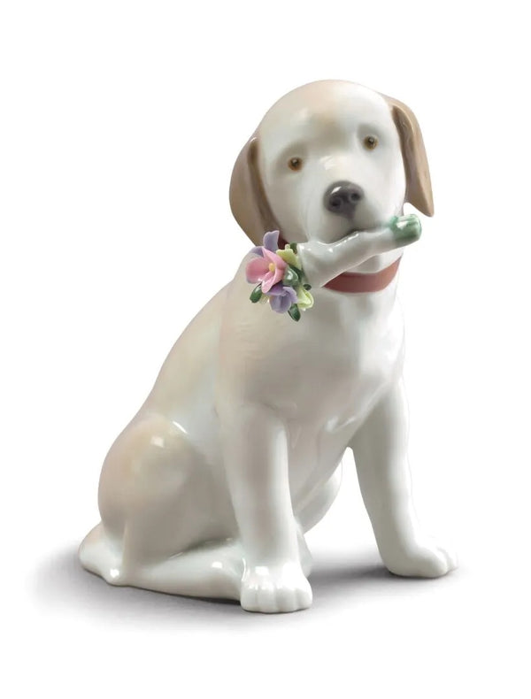 This Bouquet Is for You