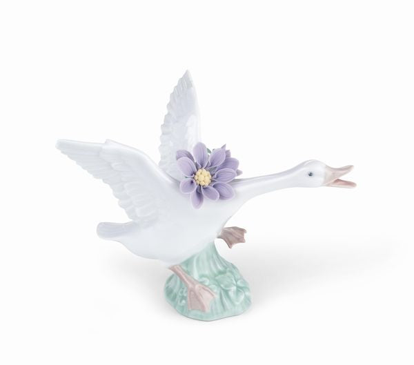 Jumping Duck with Purple Dahlias