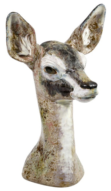 Fawn Head