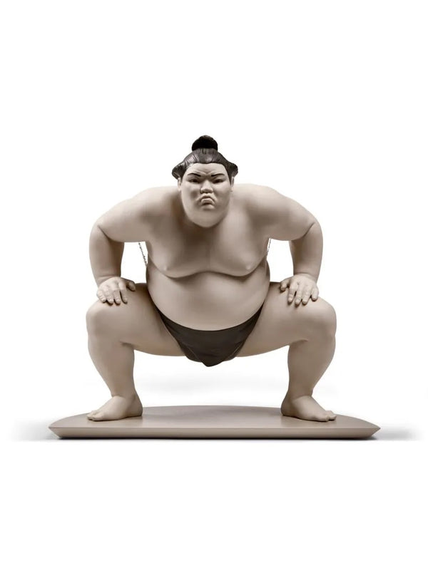 Sumo Fighter