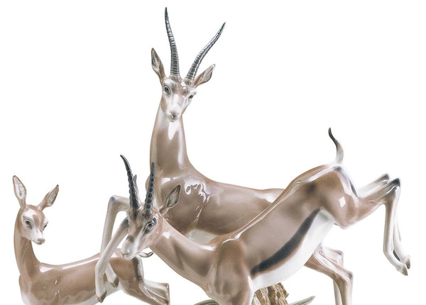 Flight of Gazelles
