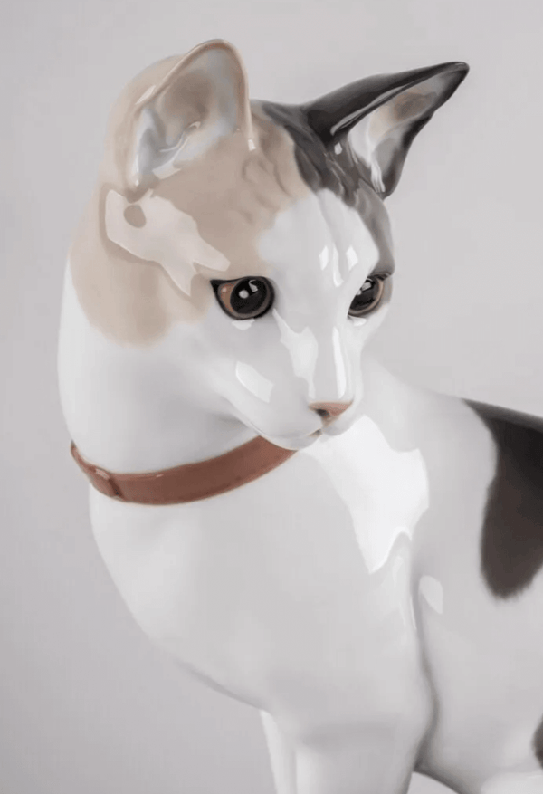 Cat  Mouse game
