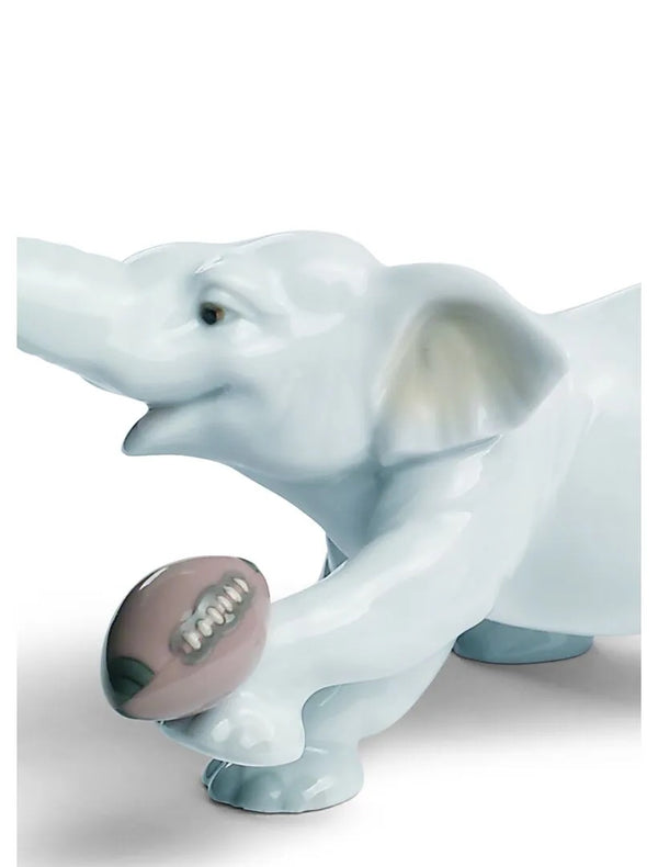 Elephant touchdown