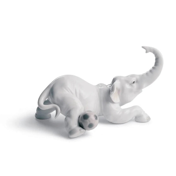 Elephant goal