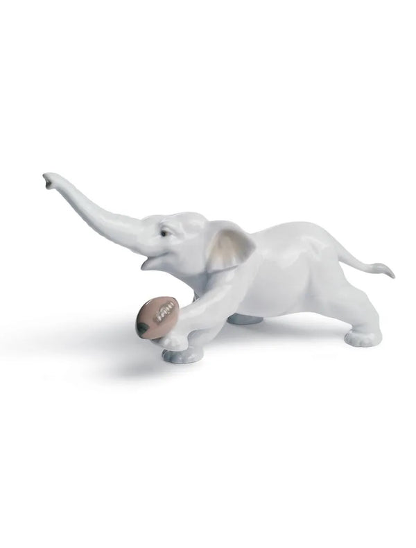 Elephant touchdown