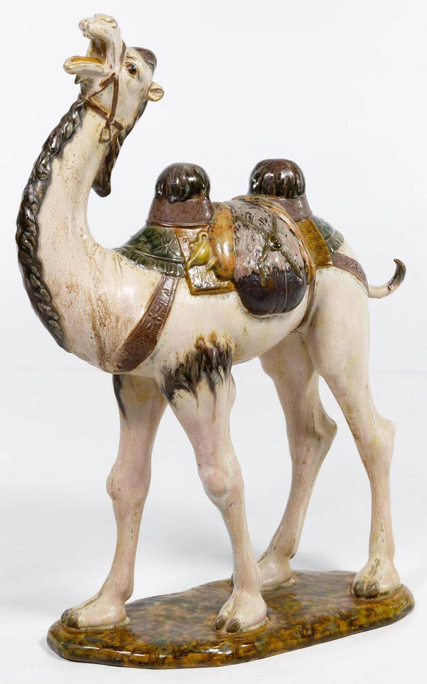 Camel