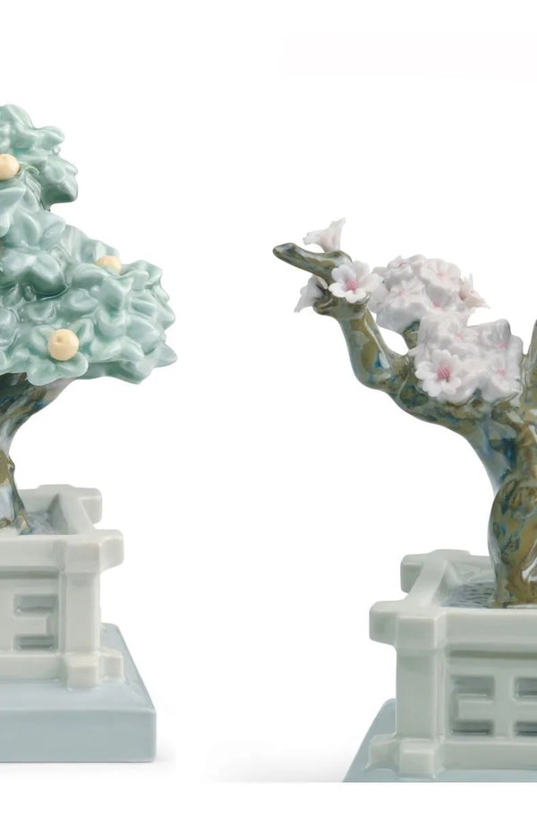 Japanese Tree Pots