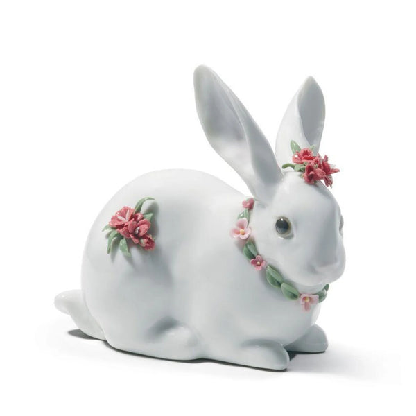 Attentive Bunny