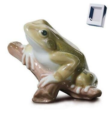 Lucky frog