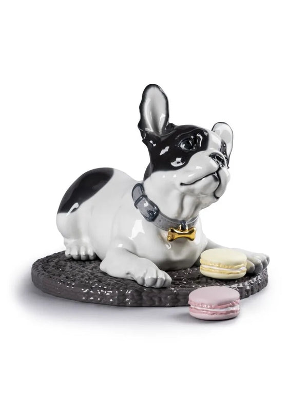 French Bulldog with Macarons