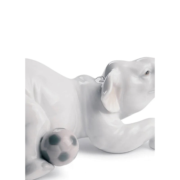 Elephant goal