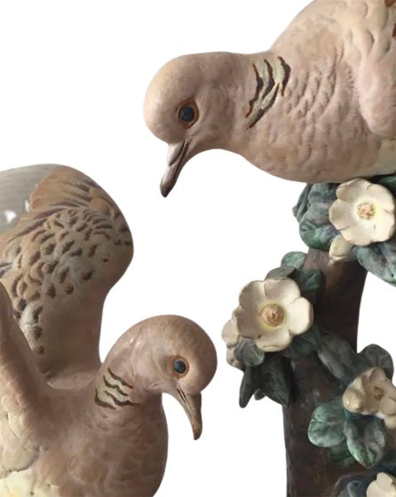 Turtle Dove Nest