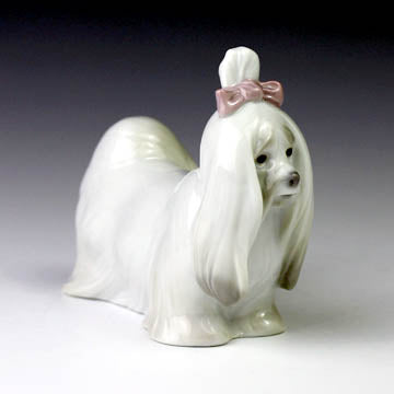 Maltese