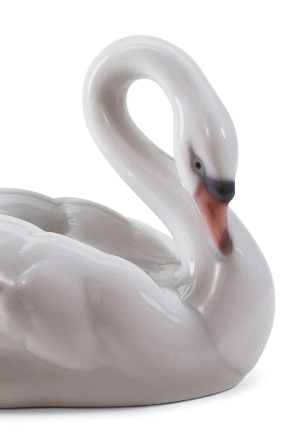 Elegant Swan