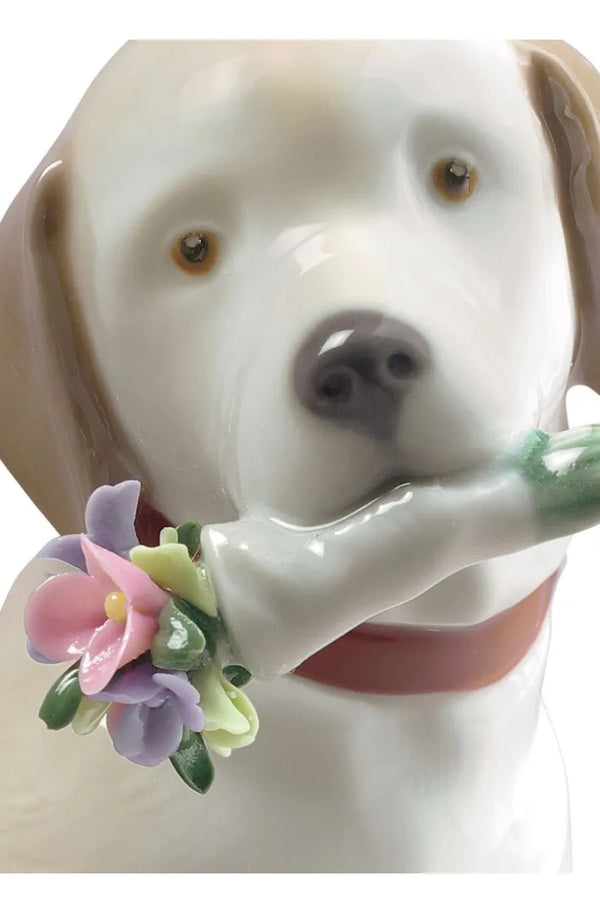 This Bouquet Is for You