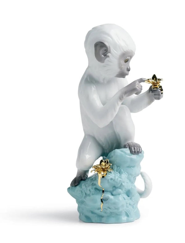 Curiosity Monkey on Turquoise Rock