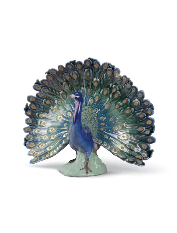 Peacock