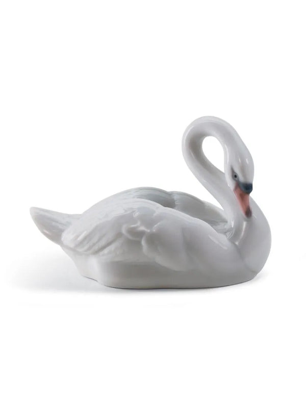 Elegant Swan