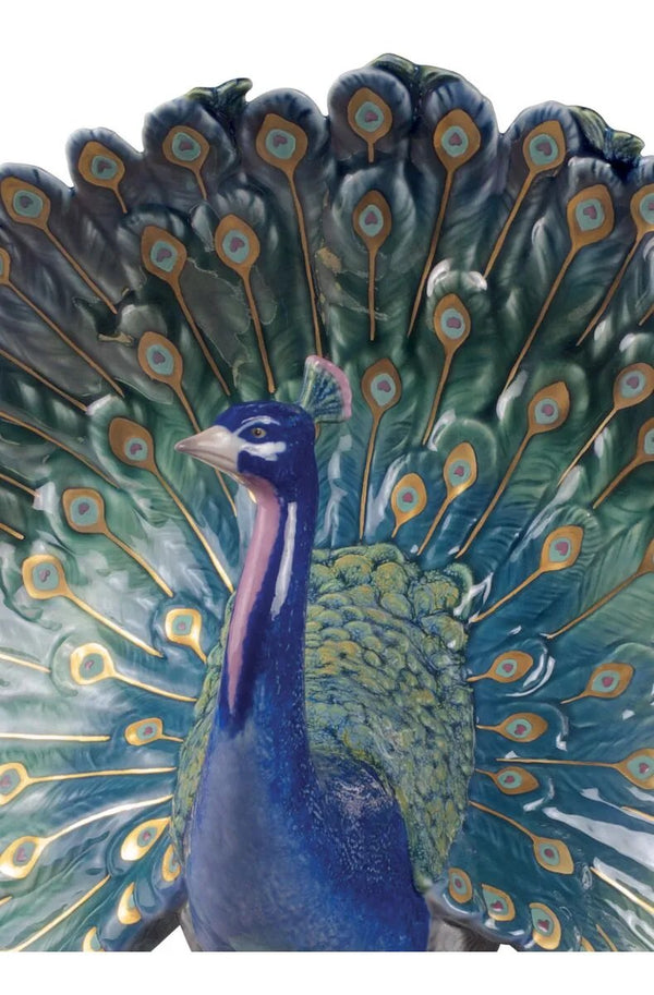 Peacock